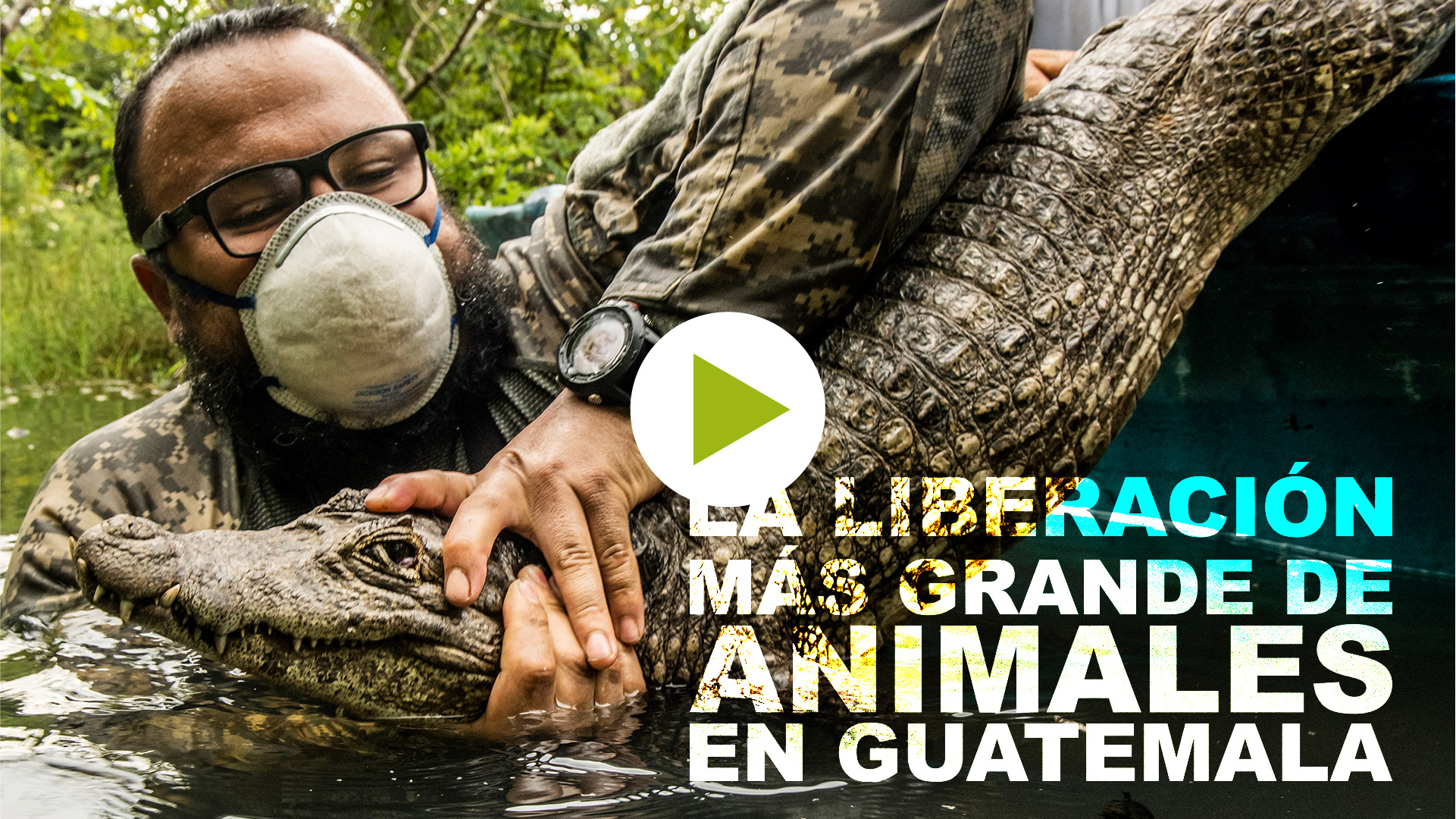 La liberación de animales más grande en Guatemala
