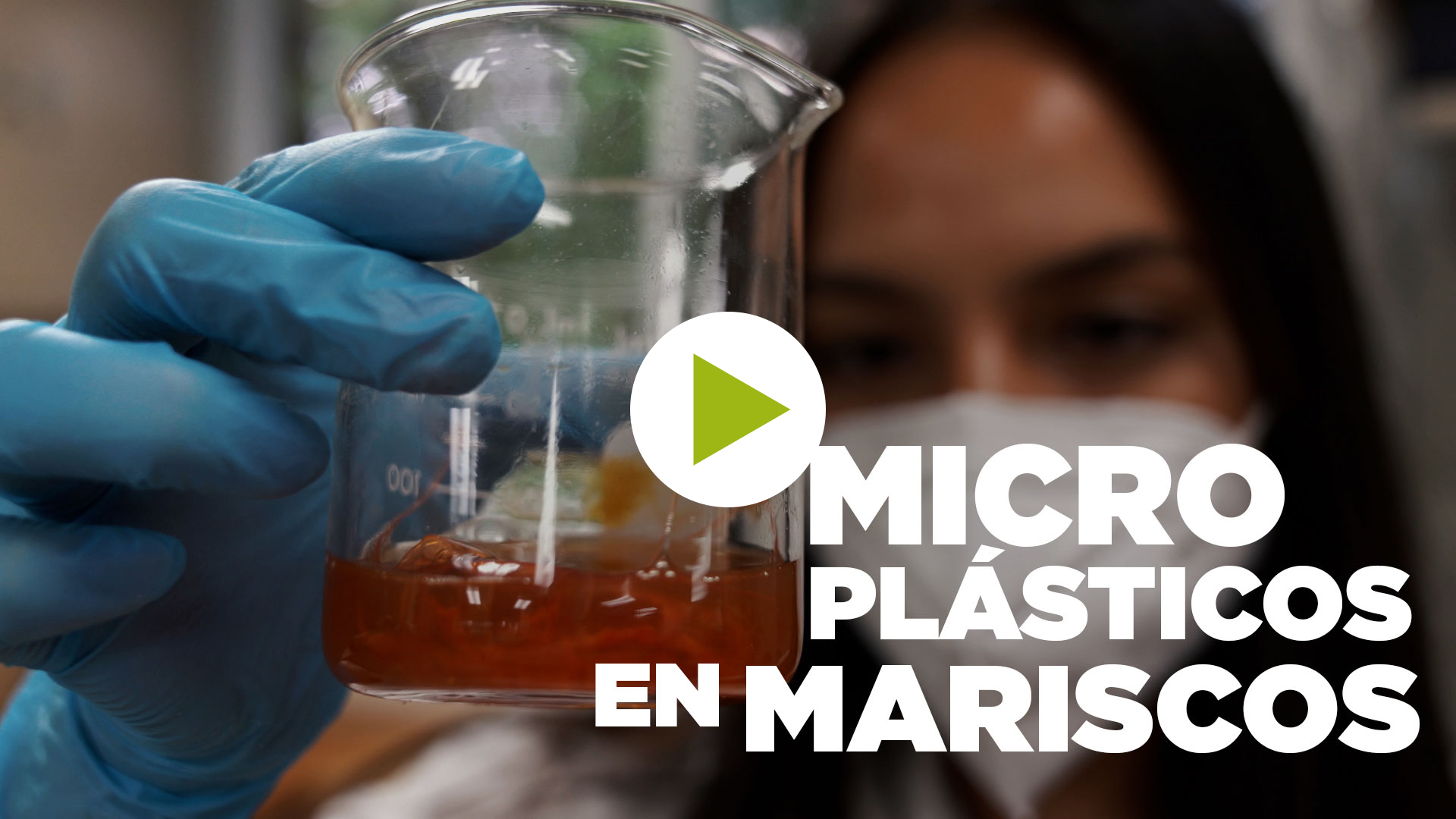 Microplásticos en Mariscos