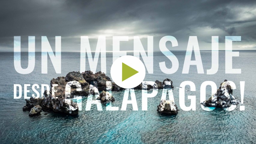 Mensaje desde Galápagos al equipo de Rescue Team