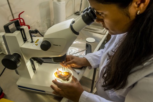 SCIENCE Image