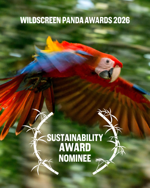 sustainability---mayan-forest-in-check-small.png