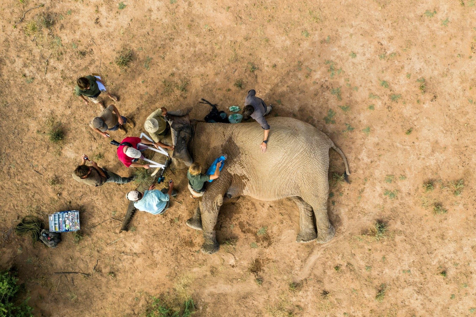 Rescue The Planet - Utiliza una botella reusable y reduce el consumo de  plástico de un solo uso. Cuéntale a un amigo este dato y compra ya tu botella  reutilizable, como acero